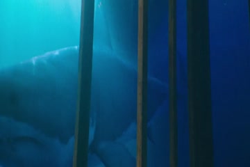 47 Meters Down 2017 in English thumb